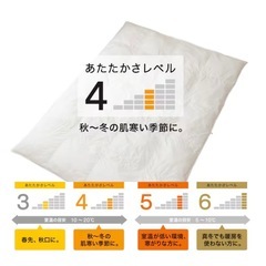 ニトリ 完全2層式 ホテルスタイル掛布団 ダブル｜美品｜引き取り限定の画像