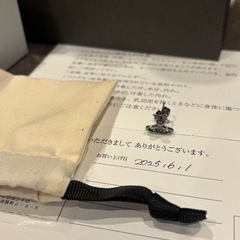 ヴィヴィアンウエストウッド ピアスの画像