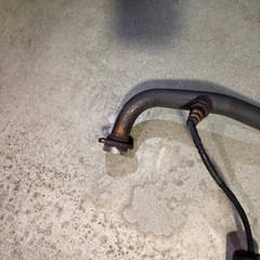 シグナス3型アルファ官の画像