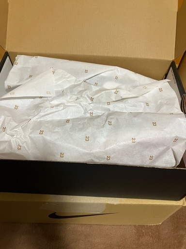 NIKE   AJ1  29センチ　新品　未使用