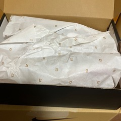 NIKE   AJ1  29センチ　新品　未使用の画像