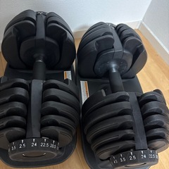 可変式ダンベル
の画像
