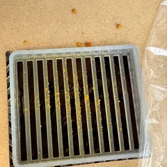 マルハナバチ60匹の画像