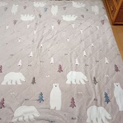 こたつと こたつ布団と長座布団の画像