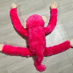 【全長50cm】サルの画像