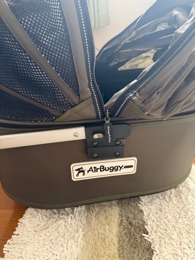 その他 AIRBuggy