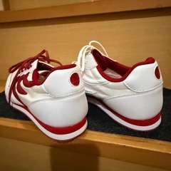 ドラゴンベアード　靴の画像