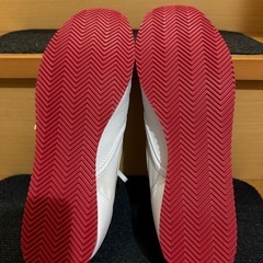 ドラゴンベアード　靴の画像