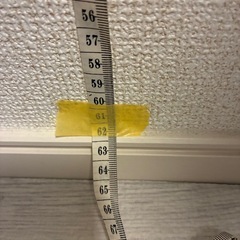 ニトリ　フェイクグリーンの画像