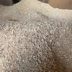 おがくず！ふわふわです！の画像