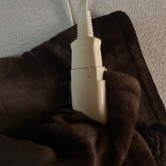 電気掛敷毛布の画像