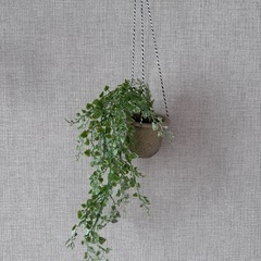【相談中】フェイクツリー　観葉植物の画像