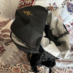 【受け渡し決定】黒のショルダーバックの画像