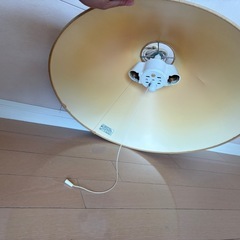ペンダントライト　2灯式の画像