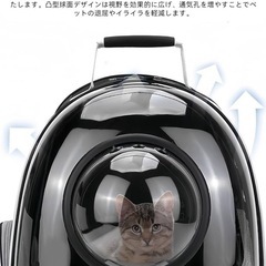 ペットリュックの画像