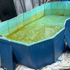 大型プールの画像