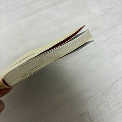 映画 すみっコぐらし とびだす絵本とひみつのコ ストーリーブックの画像