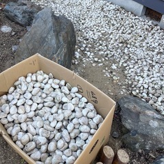 [交渉中の方と日程調節済み]白い石の画像