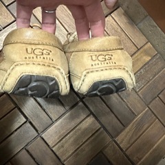 アグ　UGGの画像