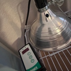 ハリネズミ　ケージ　 ハムスター　小動物　
飼育セットの画像