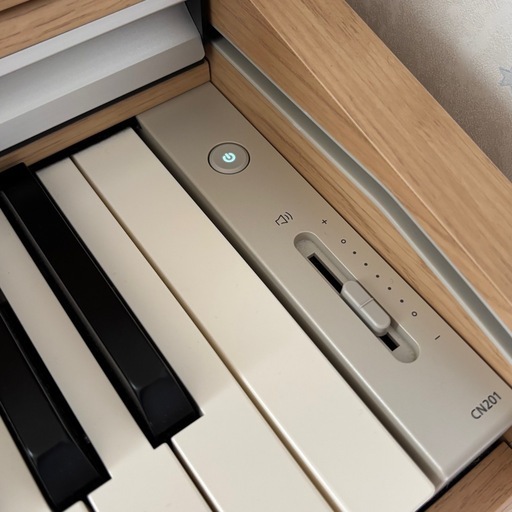 【お引き取り者様決定しました
】【2024年製】KAWAI CN201 LO