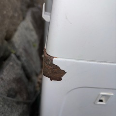 洗濯機4.5kの画像