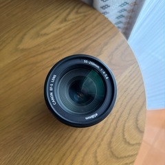 CANON 55-250mm高倍率ズームレンズの画像