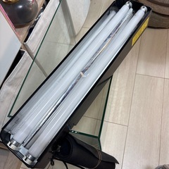 フレームレス60水槽・マット・ライトの3点セットの画像