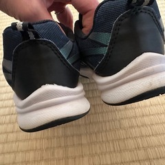 瞬足　19cmの画像