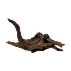 【良形・自立】流木 アクアリウム インテリア 隠れ家 爬虫類 自立 幅39cmの画像