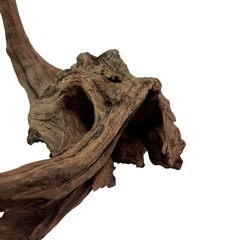 【良形・自立】流木 アクアリウム インテリア 隠れ家 爬虫類 自立 幅39cmの画像