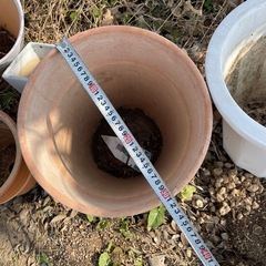 植木鉢9個の画像