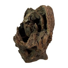 【特大洞・自立】流木 切り株型 シェルター 爬虫類 苔 テラリウム オブジェの画像