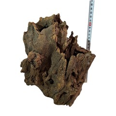 【特大洞・自立】流木 切り株型 シェルター 爬虫類 苔 テラリウム オブジェの画像