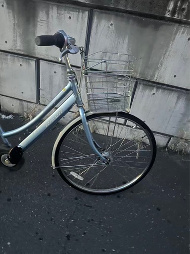 ブリジストン48