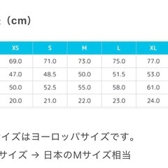 【新品】wolt Tシャツ Lサイズの画像