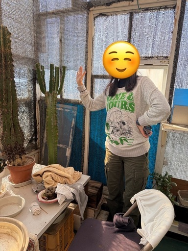 【大型】ユーフォルビア（おそらく沖天閣）高さ約116cm・うねりが魅力の多肉植物