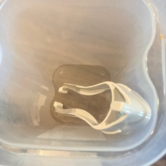 母乳実感　哺乳瓶　消毒ケースの画像