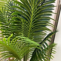 フェイクグリーン 観葉植物の画像