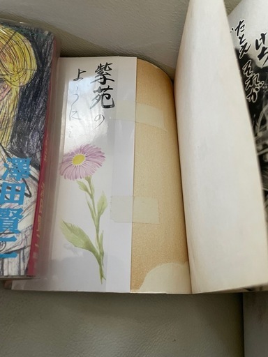 鍍乱綺羅威挫婀　　中古2冊　初版　入手困難
