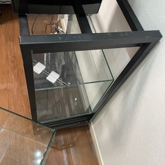 60cmオールガラス水槽×2とGEXスチール水槽台 アクアラックの画像