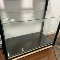 60cmオールガラス水槽×2とGEXスチール水槽台 アクアラックの画像