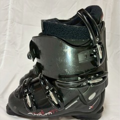 ロシニョールの画像