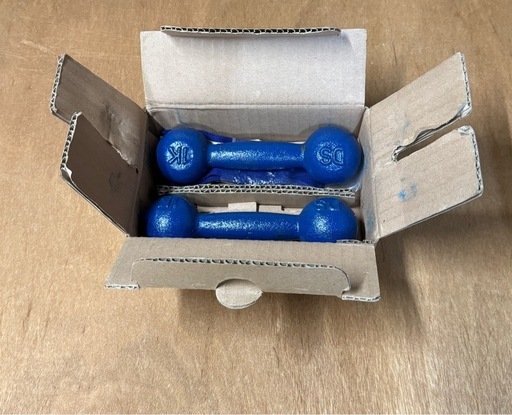 ダンノ DANNO 鉄アレー 1kg × 2 ダンベル (AAXIS6488) 県庁前の