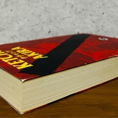 KETCHUP AKIRA ケチャップアキラの画像