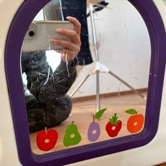 はらぺこあおむし ベビーサークル 拡張などに の画像