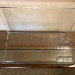 水槽　６０cm エーハイムの画像