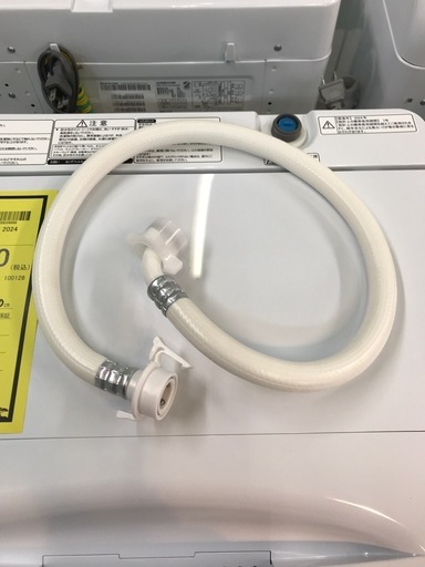 ジャングルジャングル貝塚店　洗濯機　ハイセンス　白　ホワイト　5.5kg  98L  ステンレス槽　コンパクト　立体シャワー水流　20