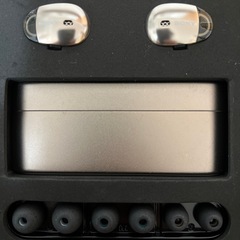 ソニー　ワイヤレスイヤホン　WF-1000X   シャンパンゴールドの画像