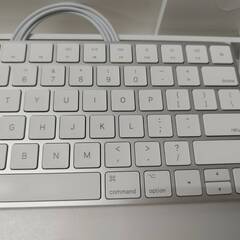 【良品】Apple Magic Keyboard/US配列(A1644) Magic Mouse 2(A1657)セット！（正規品） (1)の画像